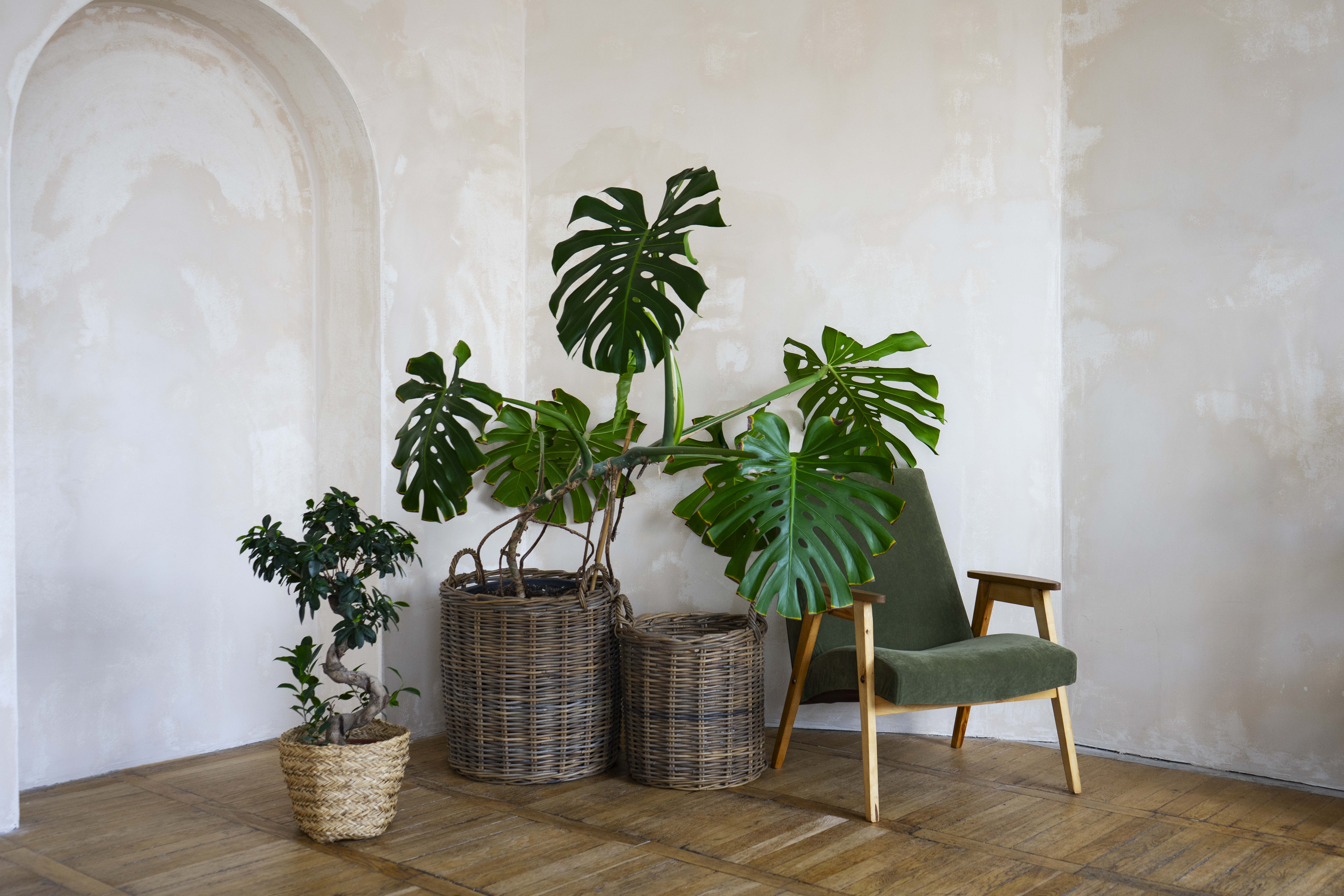 Stylish interior room with potted Monstera plant and leafy décor accents